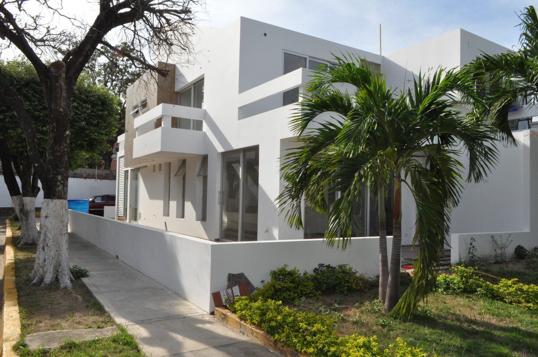 Remodelación de vivienda en Prados: fachada lateral construida con palmas y muro blanco